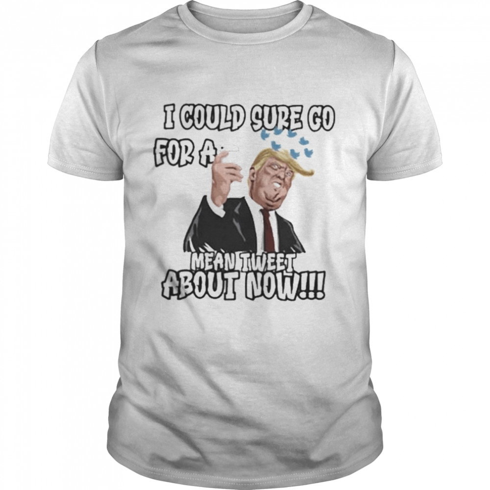 Trump I could sure go for a Mean Tweet about now shirt