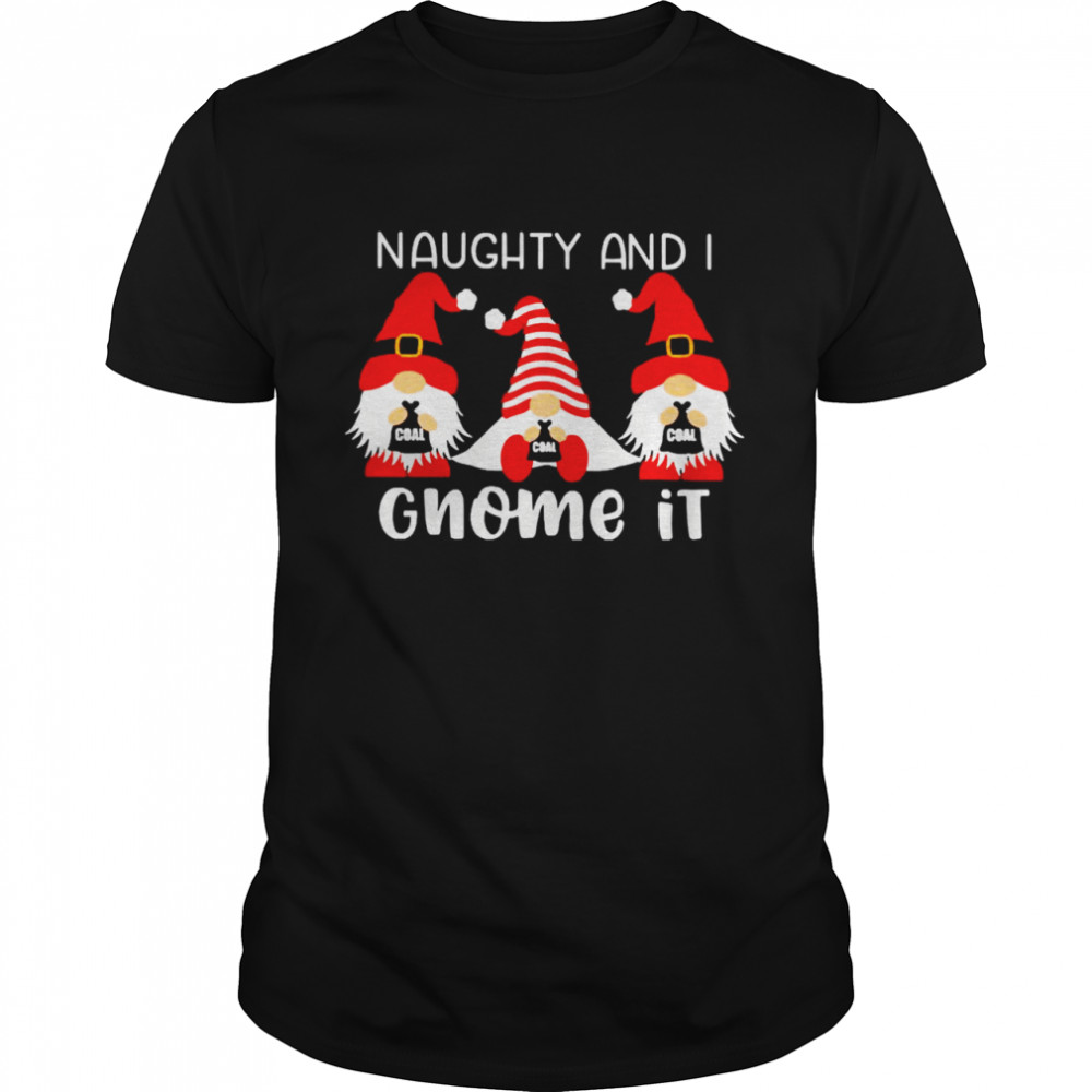 Naughty And I Gnome It Nurse Christmas Sweater Shirt