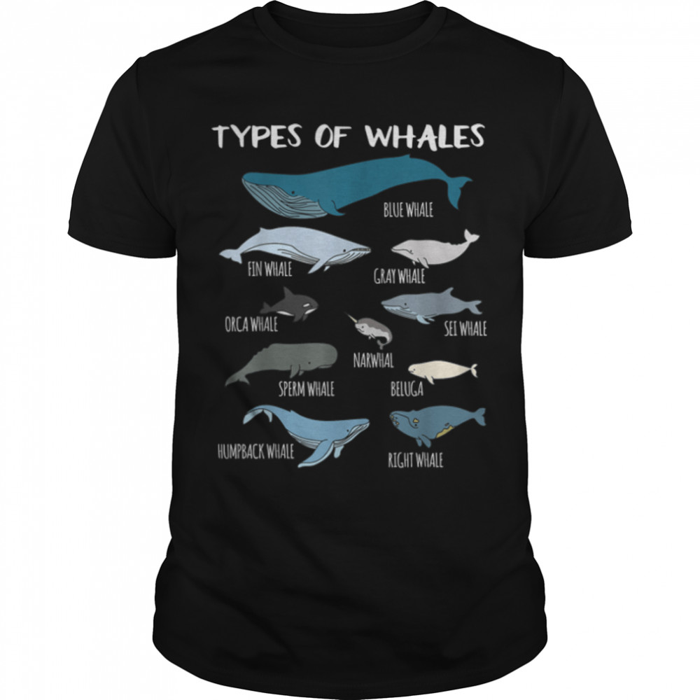 Types Of Whales Cute Ocean Mammals Guide T Shirt B07CT15PHZ