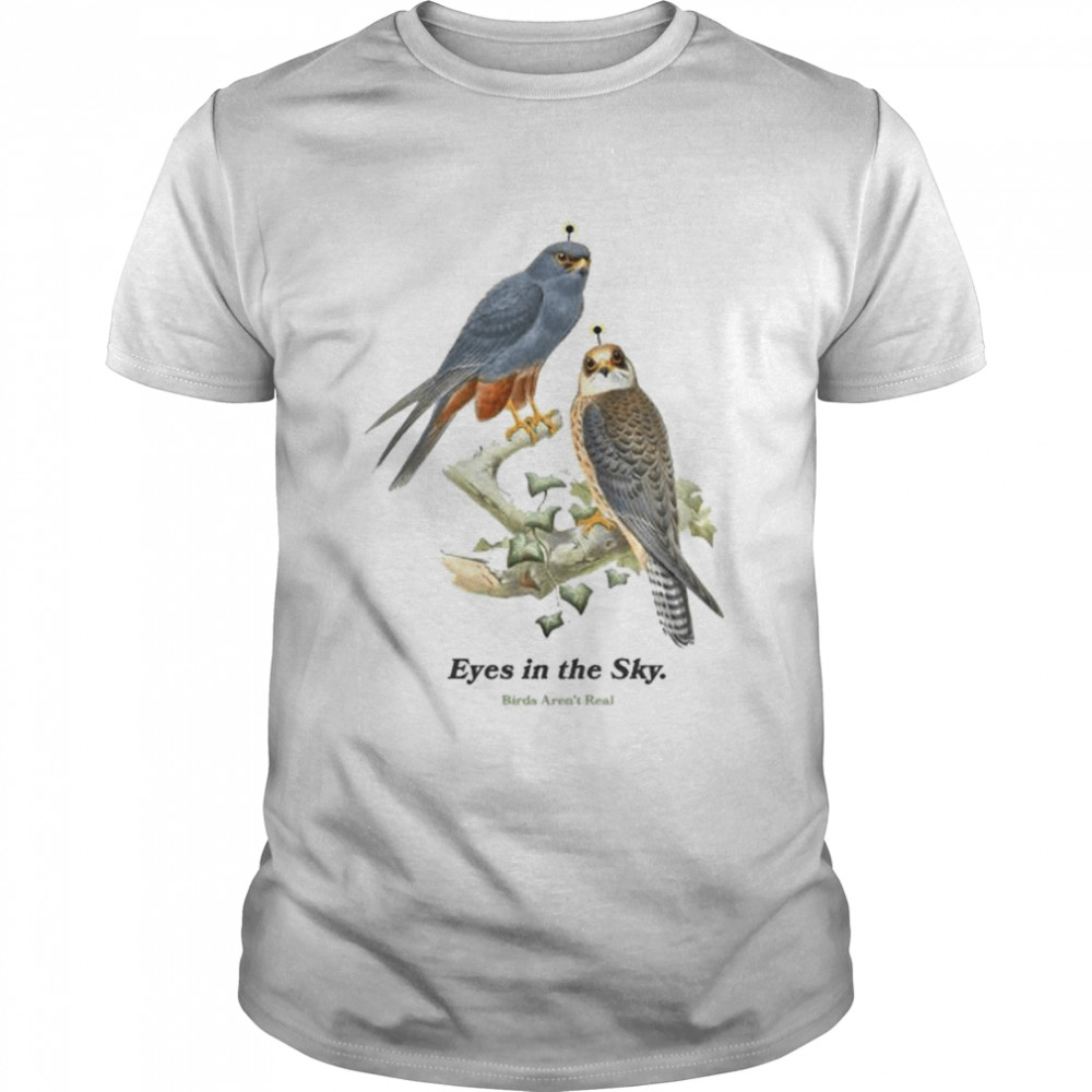 Eyes In The Sky Birds Aren’t Real shirt
