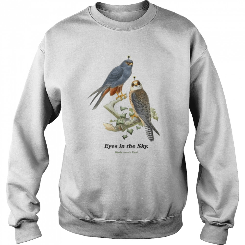 Eyes In The Sky Birds Aren’t Real shirt Unisex Sweatshirt