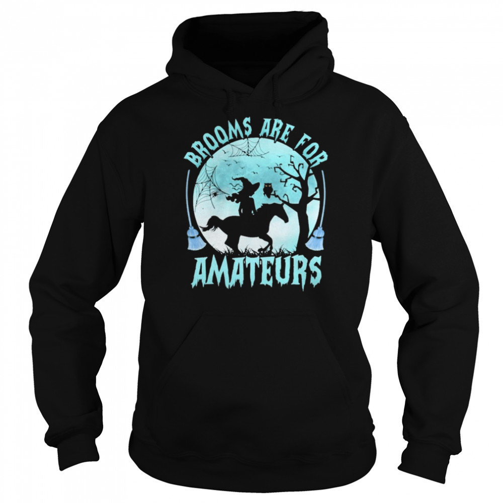 Witch Reading Horse Brooms Are For Amateurs Halloween Unisex Hoodie