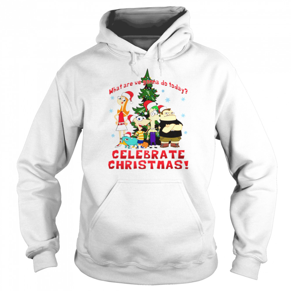Christmas Group Celebrate Xmas Phineas And Ferb shirt Unisex Hoodie